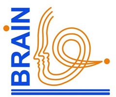 Brain